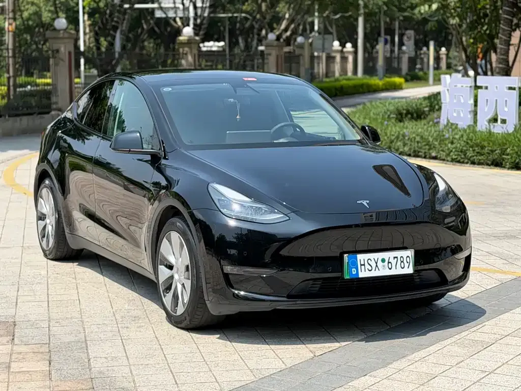 Tesla Model Y — фото 5
