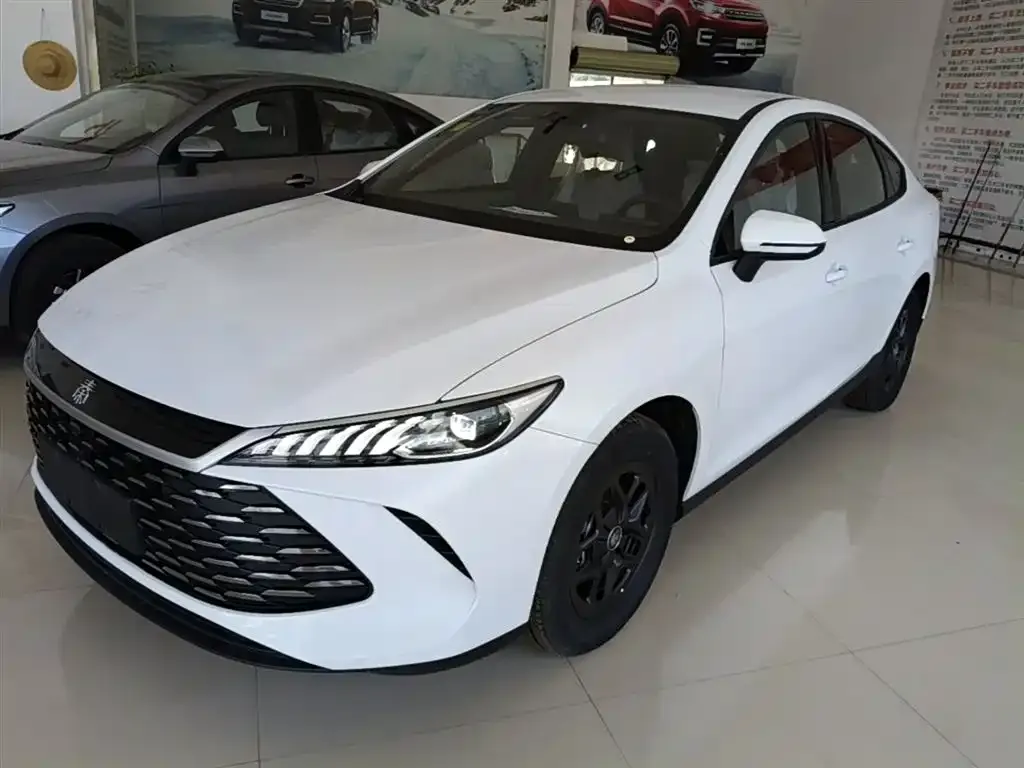 BYD Qin PLUS — фото 2