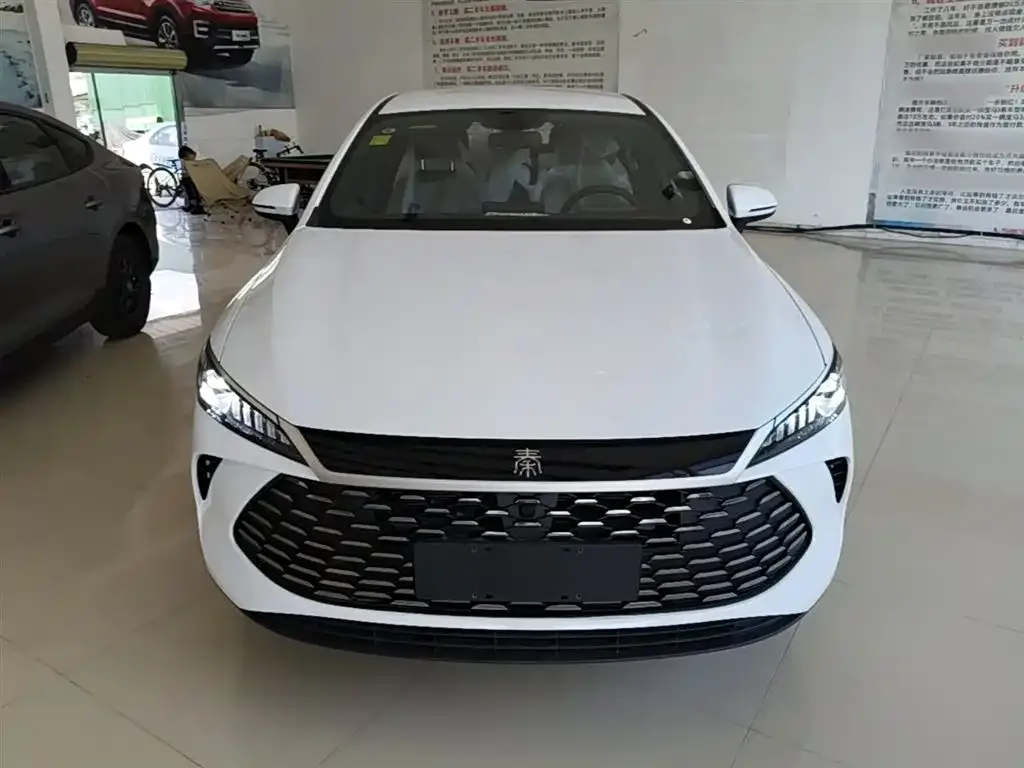 BYD Qin PLUS — фото 3