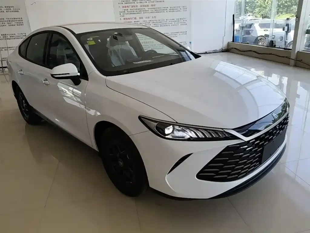 BYD Qin PLUS — фото 10