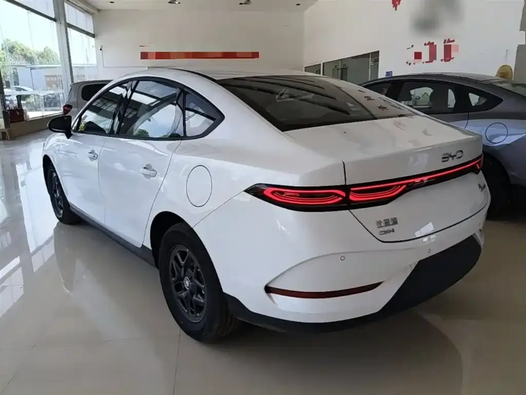 BYD Qin PLUS — фото 4