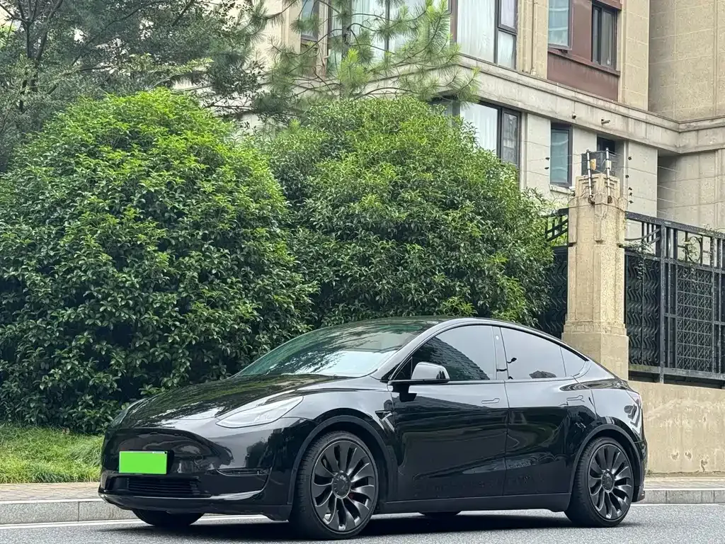 Tesla Model Y — фото 1