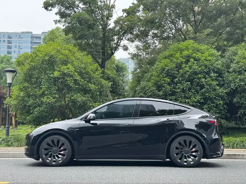 Tesla Model Y — фото 7