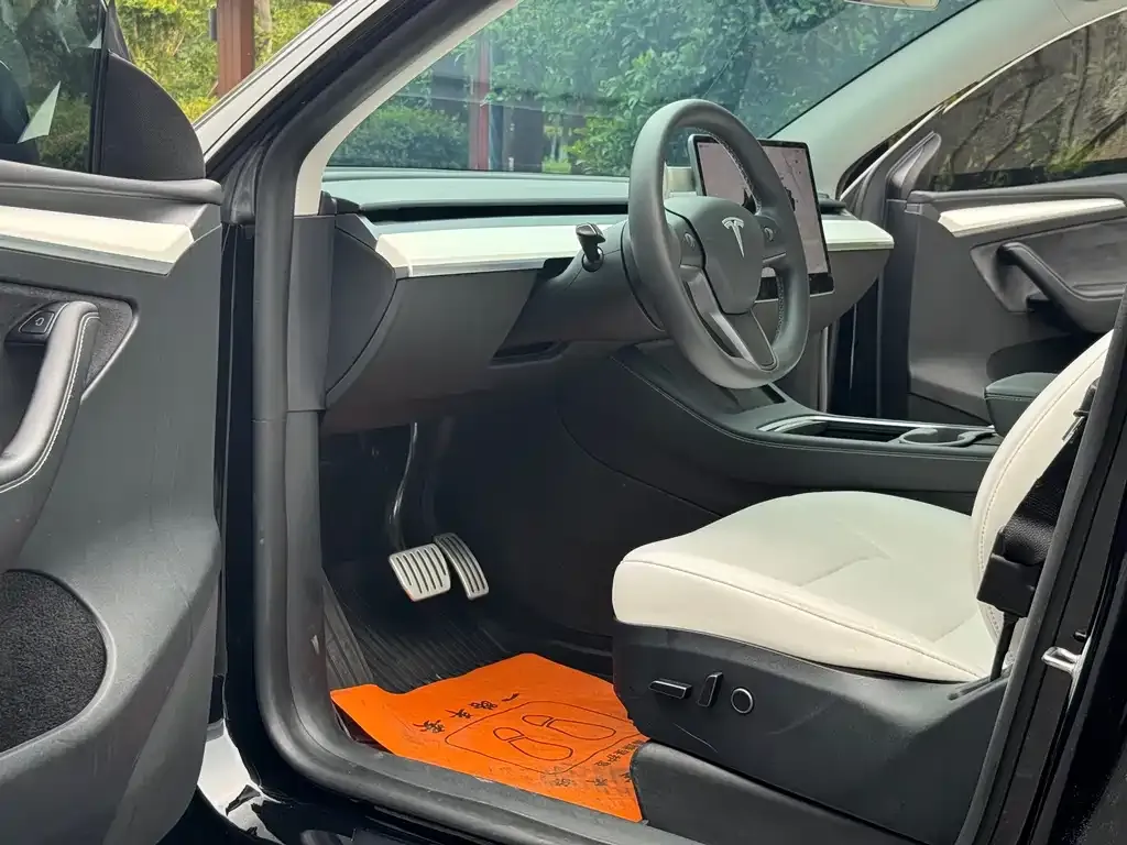 Tesla Model Y — фото 2