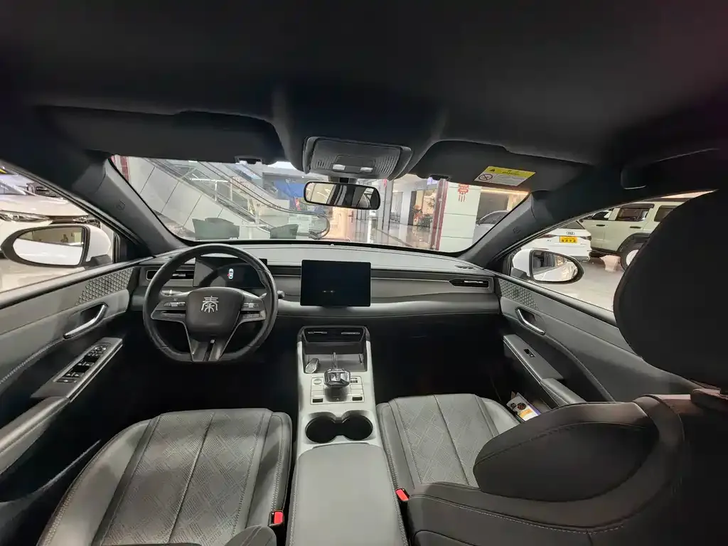 BYD Qin PLUS 2025 из CN, фото 5
