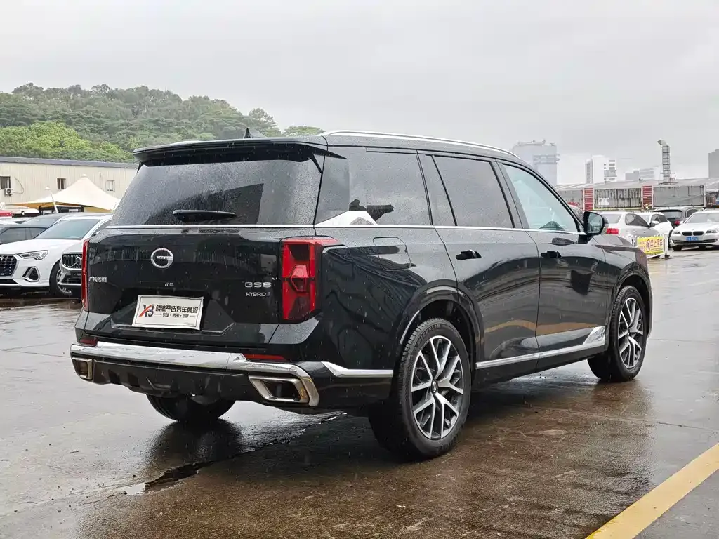 GAC Motor Trumpchi GS8 — фото 2