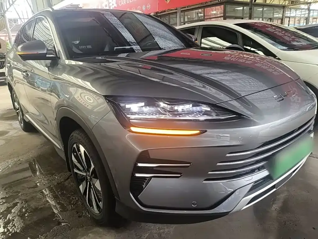 BYD PLUS New Energy — фото 8