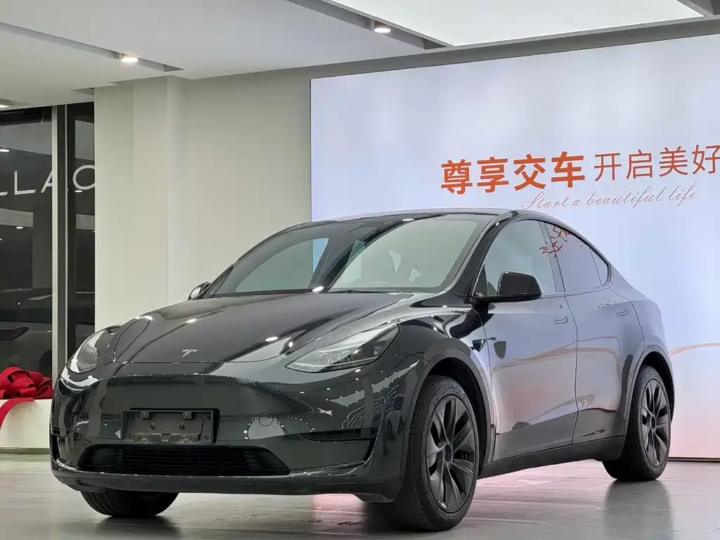 Tesla Model Y — фото 1