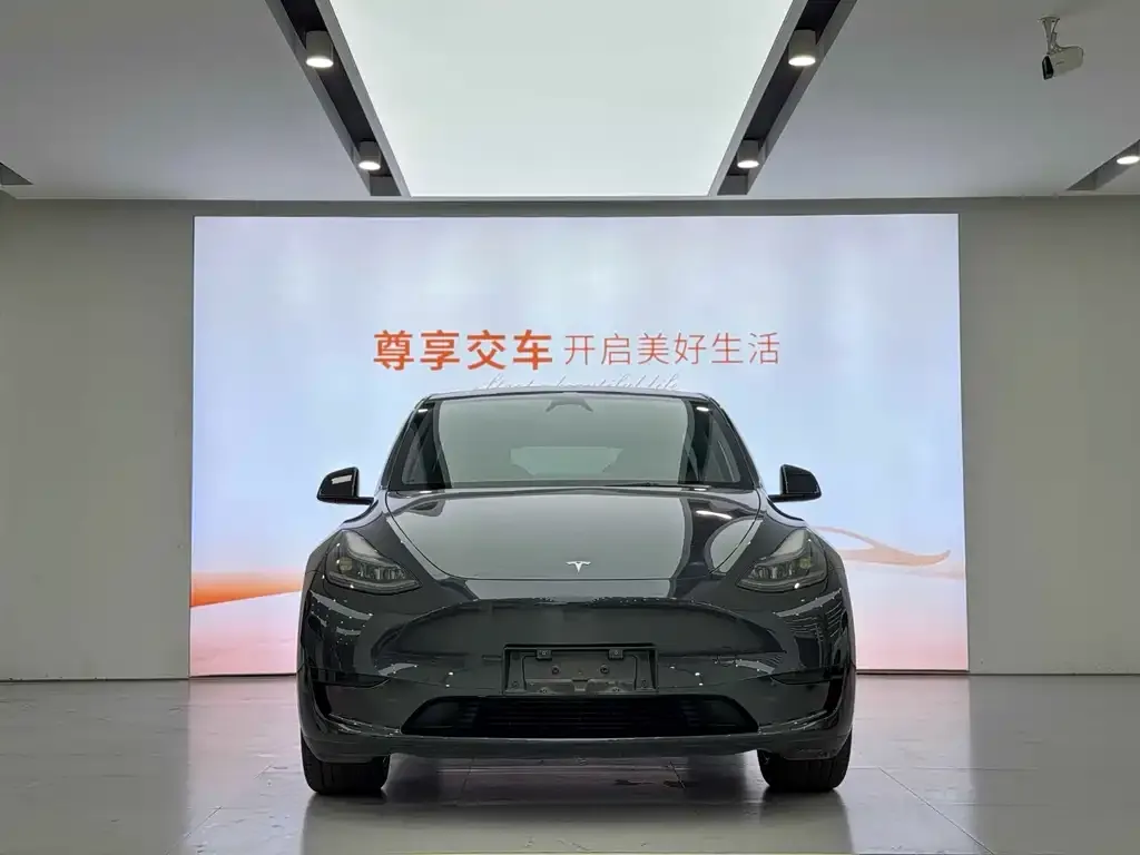 Tesla Model Y — фото 2