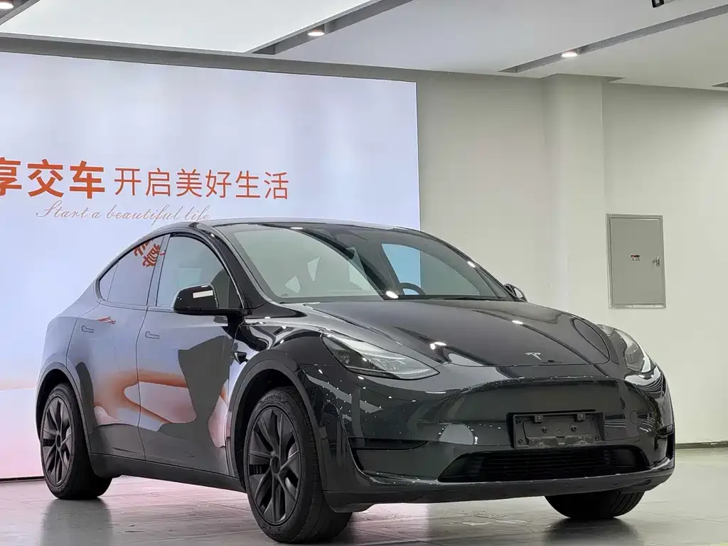 Tesla Model Y — фото 7