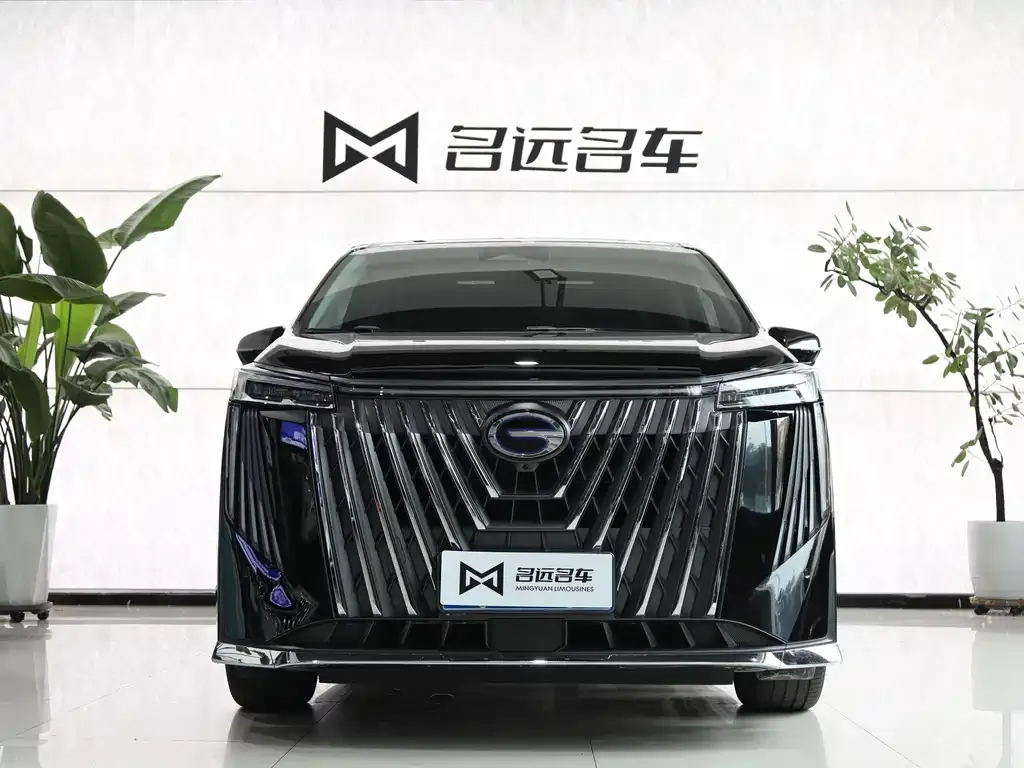 GAC Motor Trumpchi M8 — фото 5