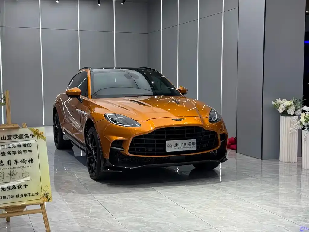 Aston Martin DBX 2022 из CN, фото 5