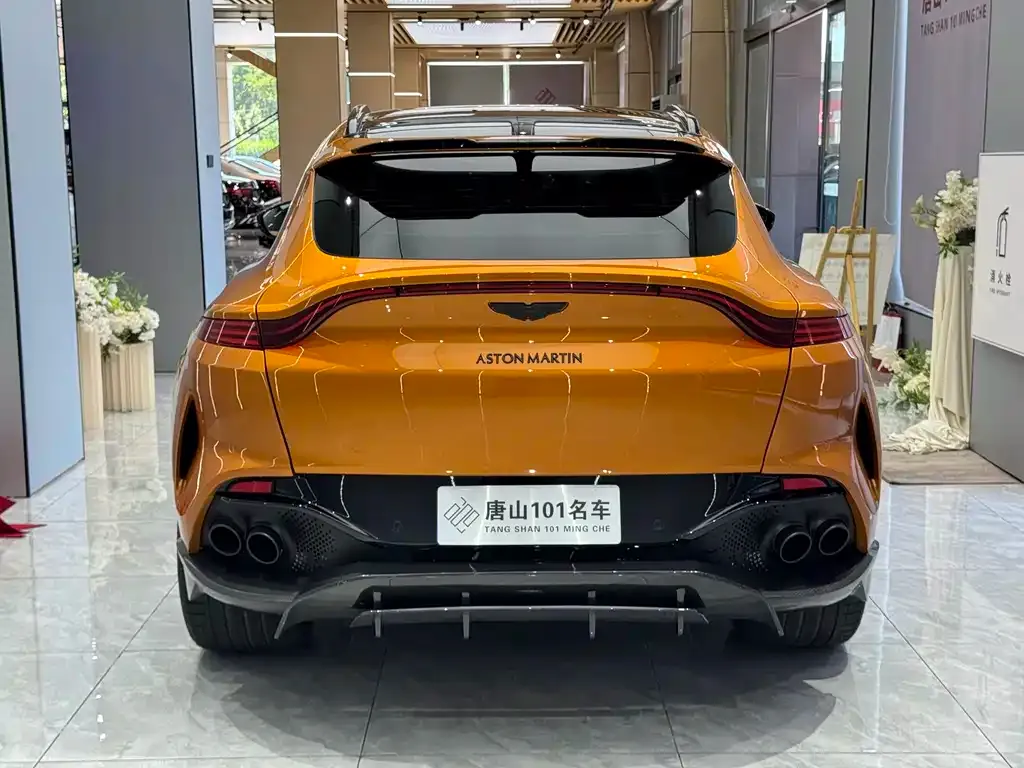 Aston Martin DBX 2022 из CN, фото 9