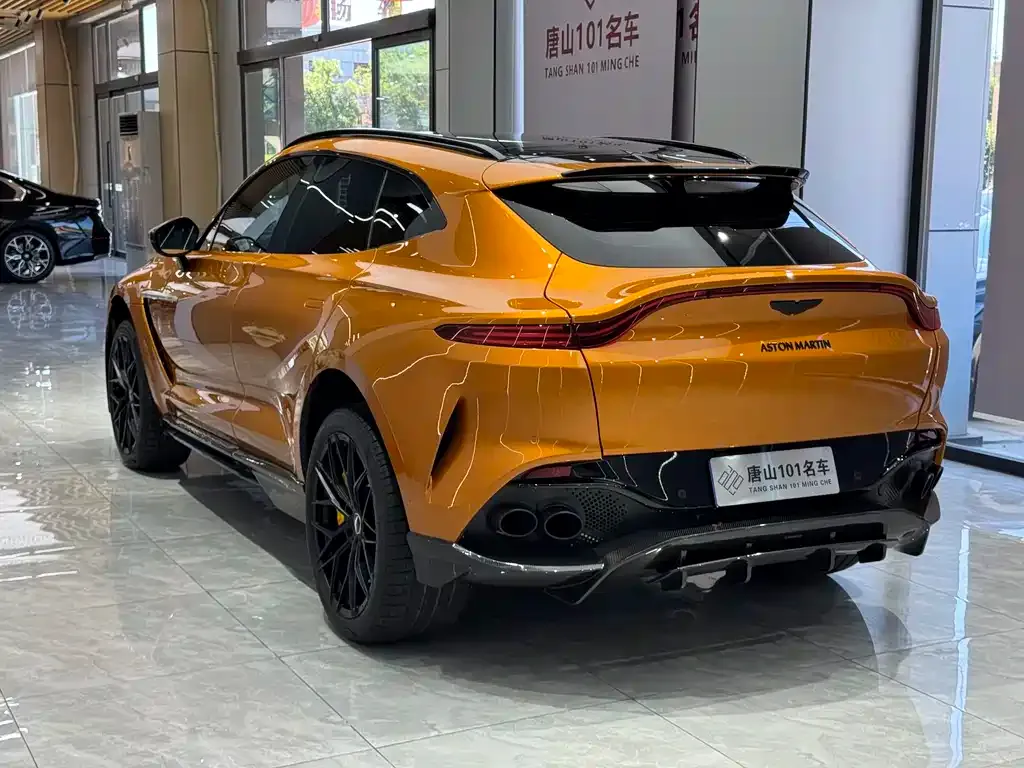 Aston Martin DBX 2022 из CN, фото 6