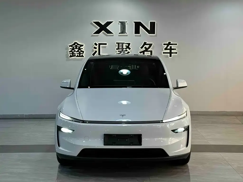 Tesla Model Y — фото 10