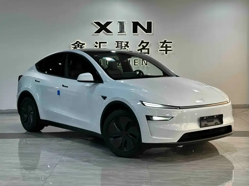 Tesla Model Y — фото 6