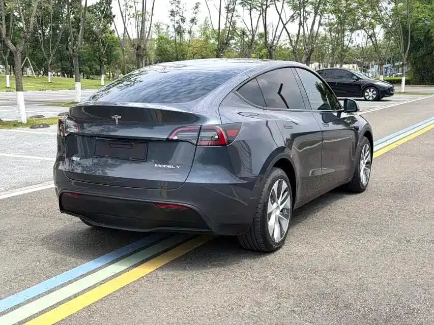 Tesla Model Y — фото 8