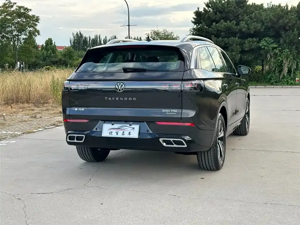 Volkswagen Tavendor — фото 6