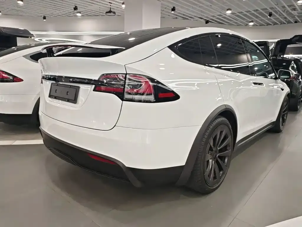 Tesla Model X — фото 7