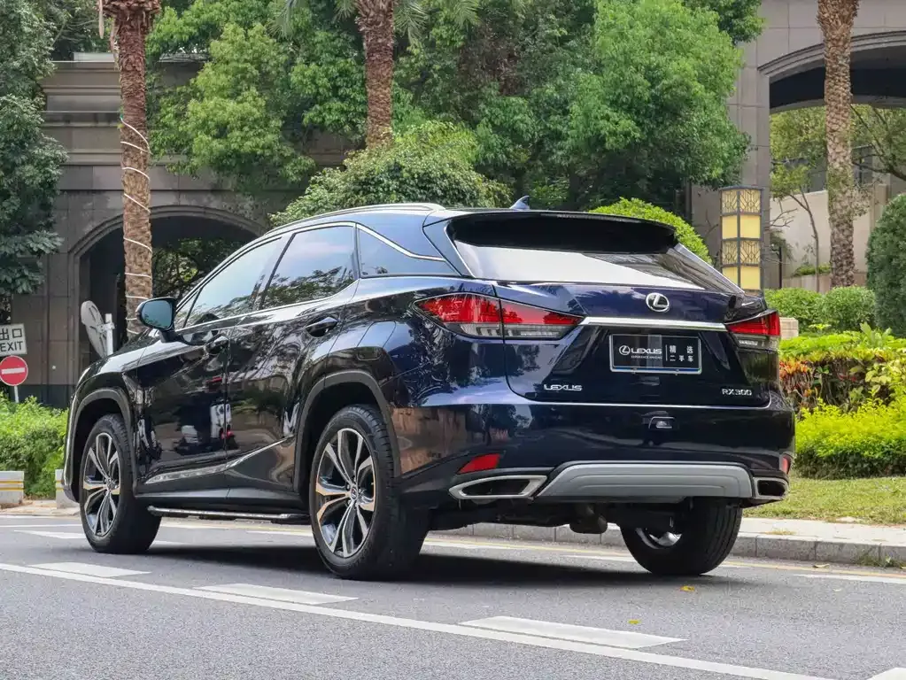 Lexus RX — фото 9