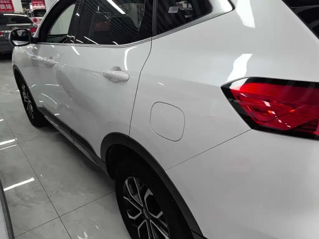 Haval H6 2024 из CN, фото 2