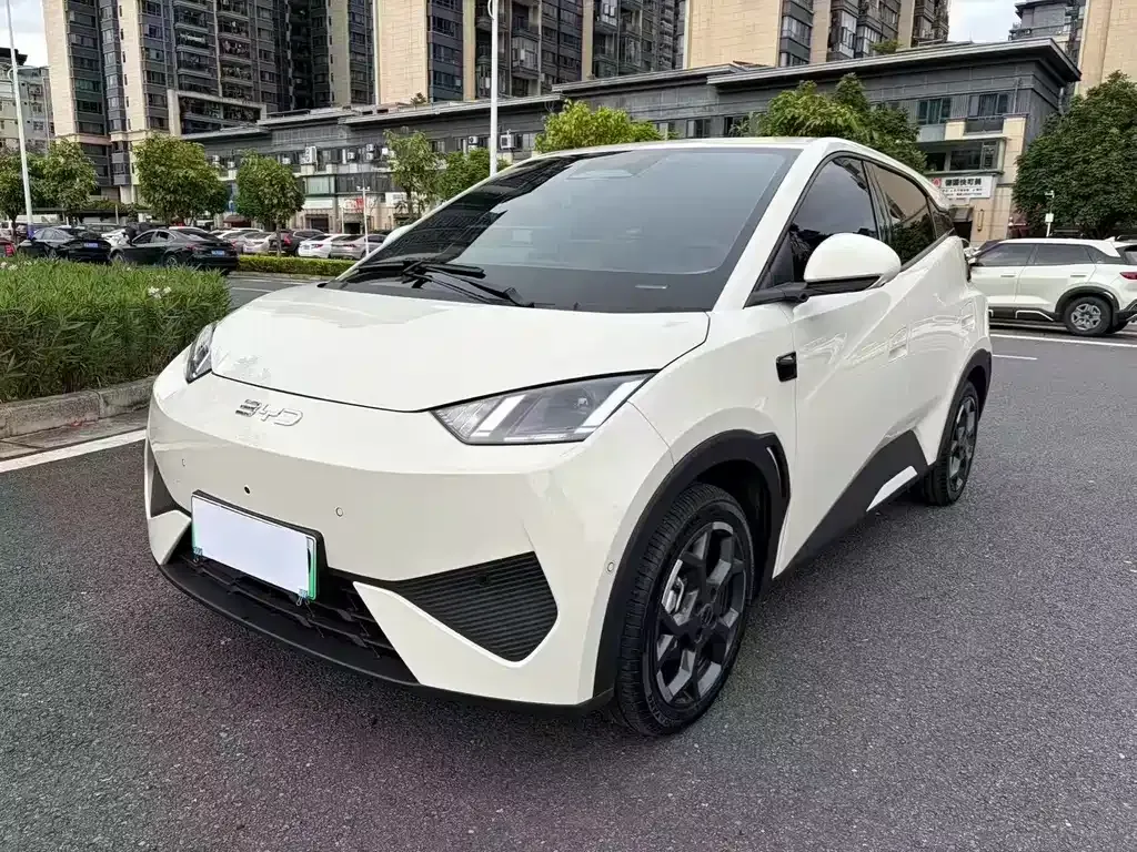 BYD Seagull
