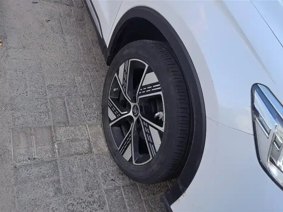 BYD Pro New Energy — фото 8
