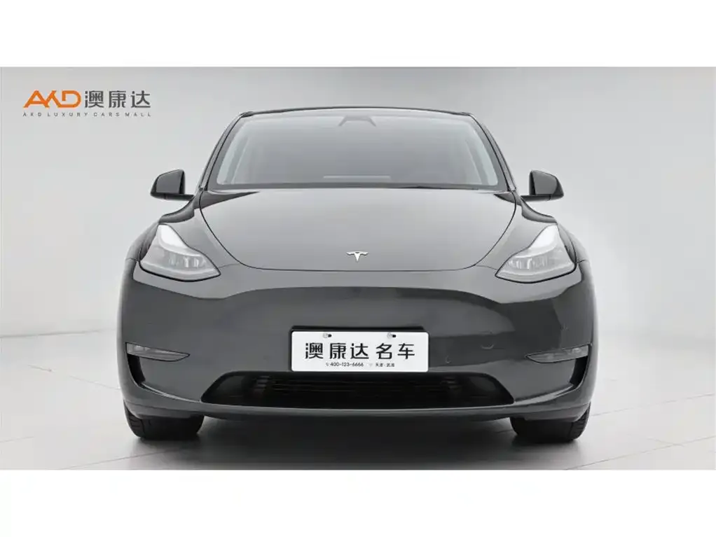 Tesla Model Y — фото 8