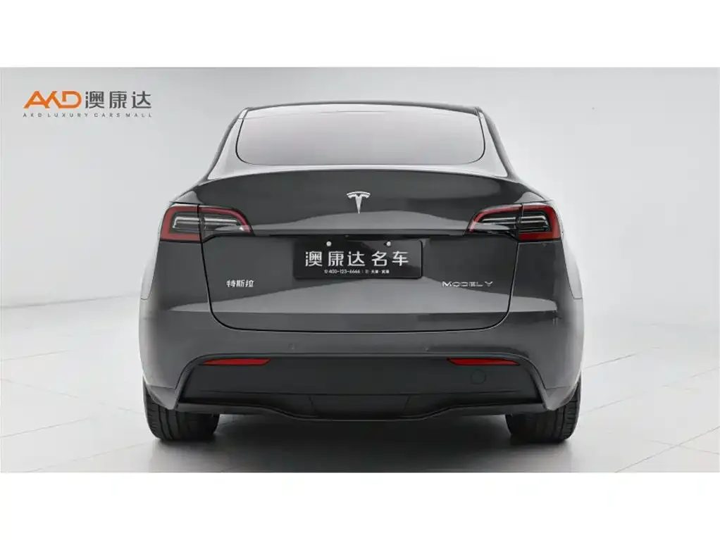 Tesla Model Y — фото 9