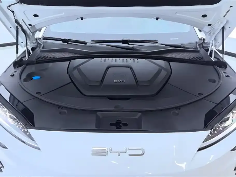 BYD PLUS New Energy 2024 из CN, фото 7