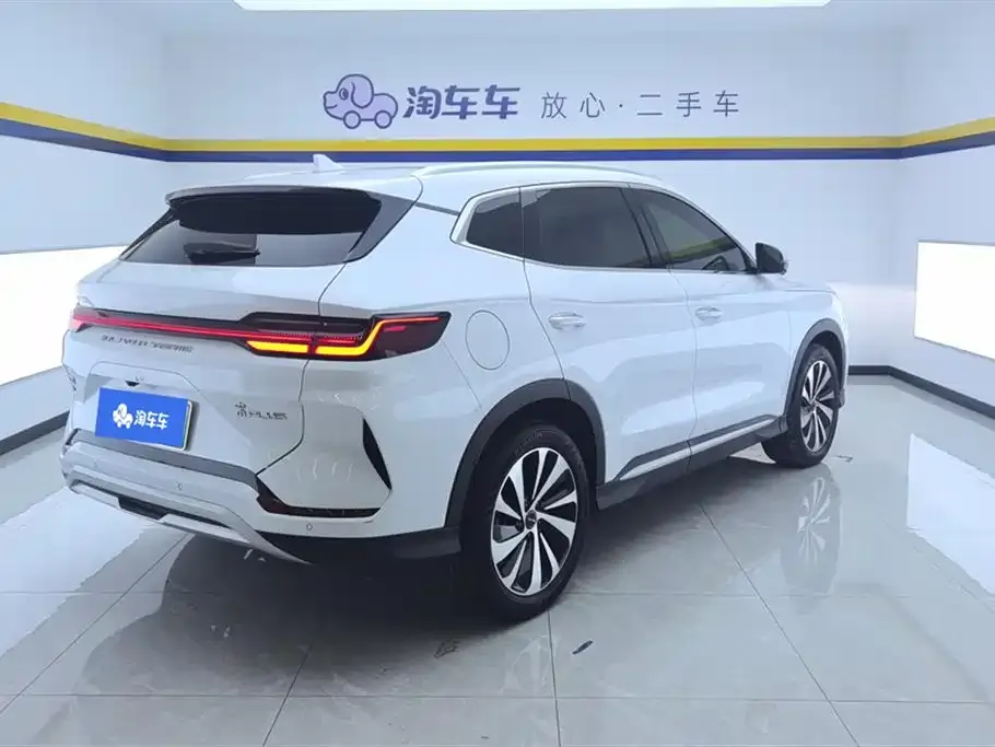 BYD PLUS New Energy 2024 из CN, фото 10