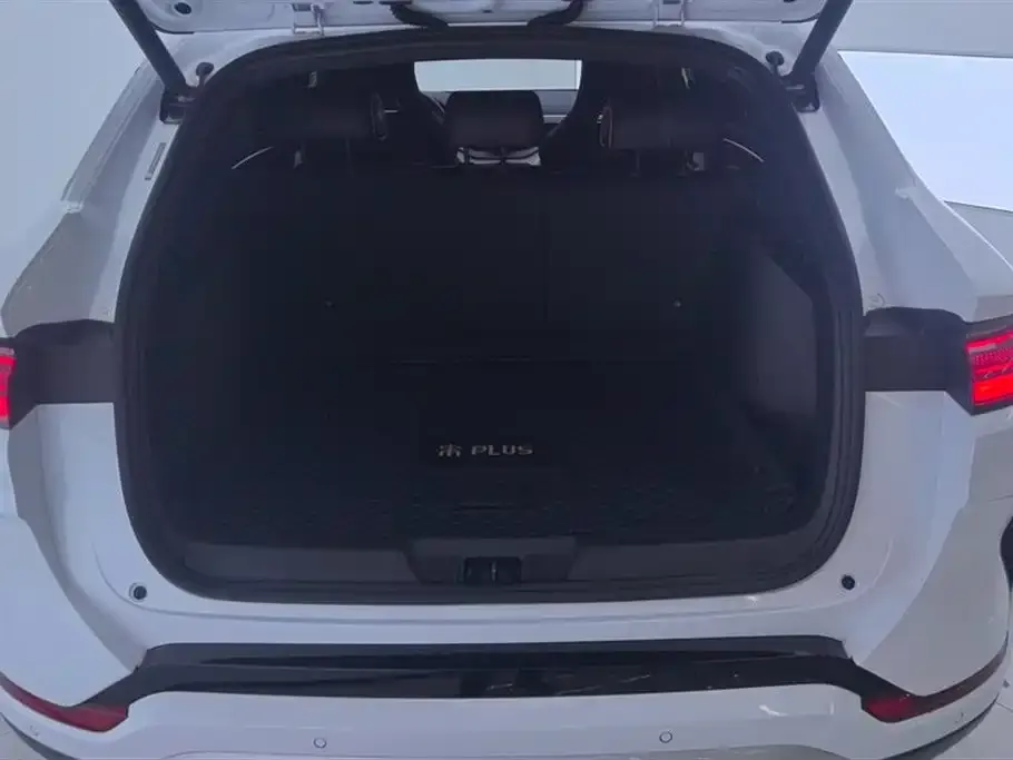 BYD PLUS New Energy 2024 из CN, фото 6