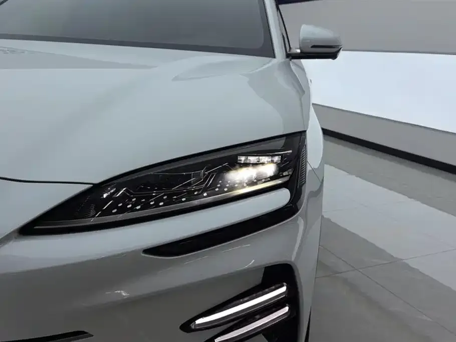 BYD PLUS New Energy 2024 из CN, фото 5