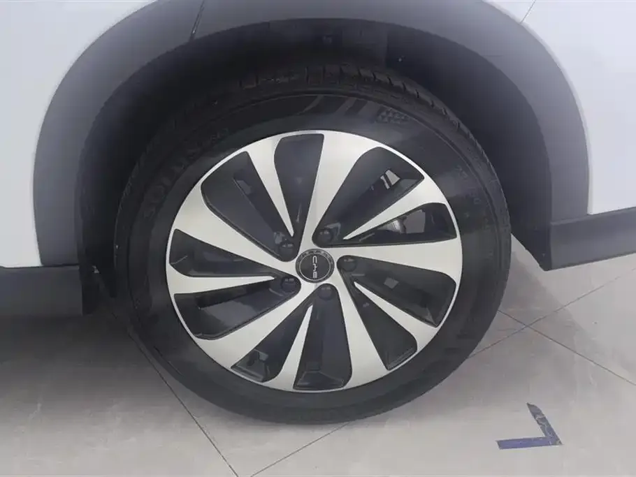BYD PLUS New Energy 2024 из CN, фото 8