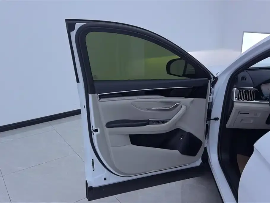 BYD PLUS New Energy 2024 из CN, фото 9