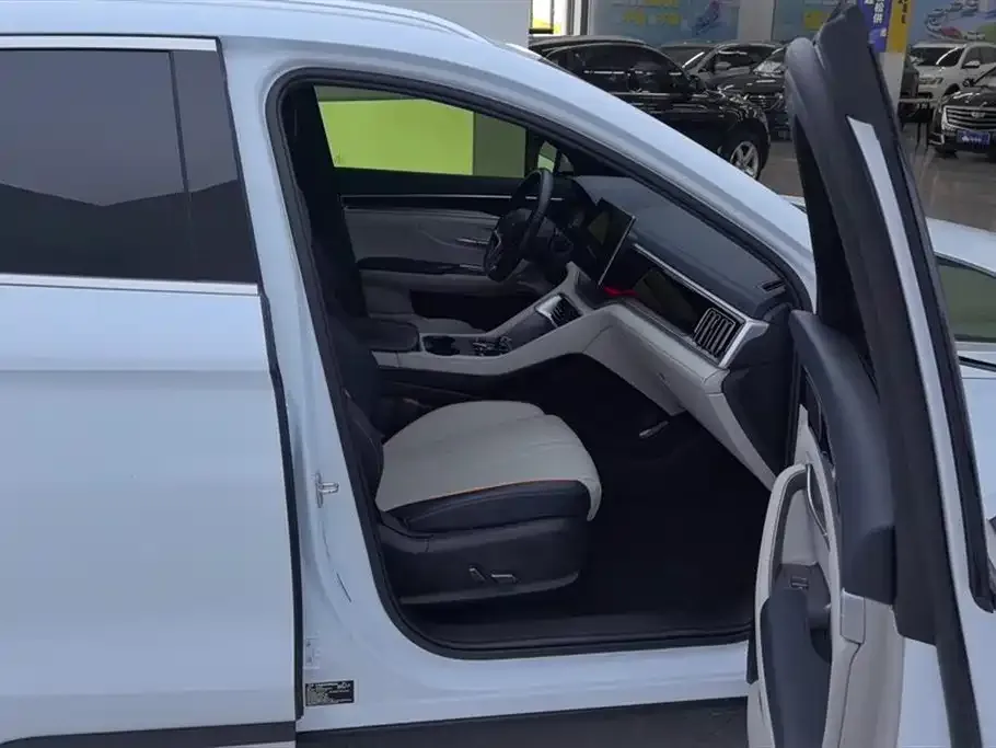 BYD PLUS New Energy 2024 из CN, фото 2