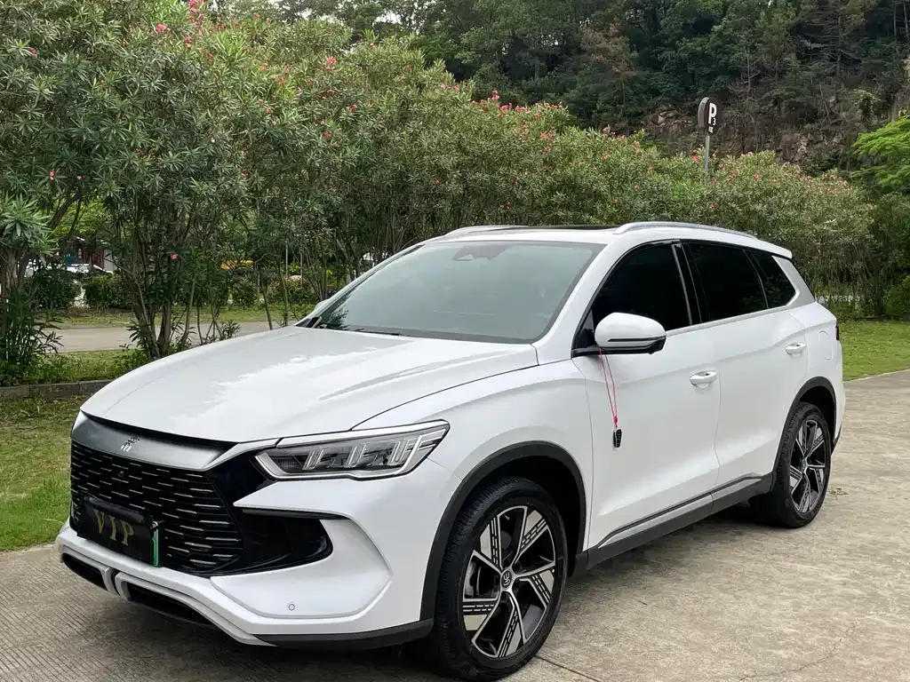 BYD Pro New Energy