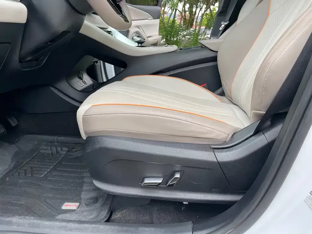 BYD Pro New Energy 2024 из CN, фото 10