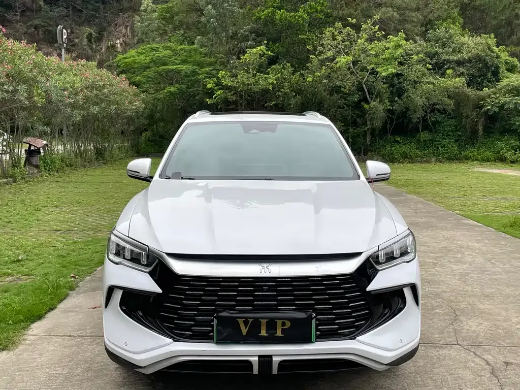 BYD Pro New Energy 2024 из CN, фото 7