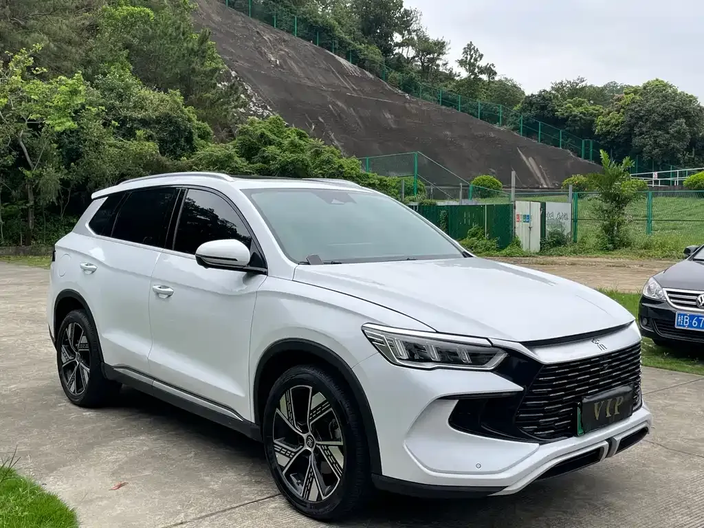 BYD Pro New Energy 2024 из CN, фото 8