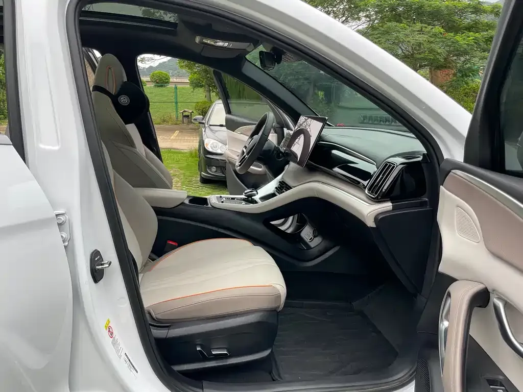 BYD Pro New Energy 2024 из CN, фото 3