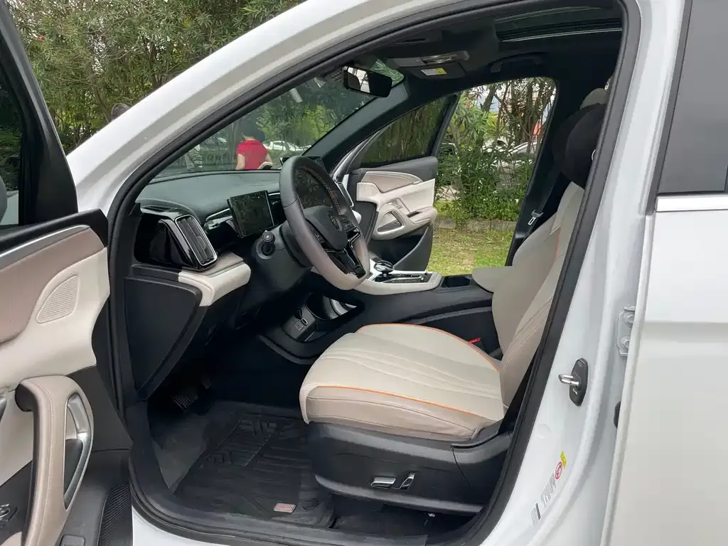BYD Pro New Energy 2024 из CN, фото 4