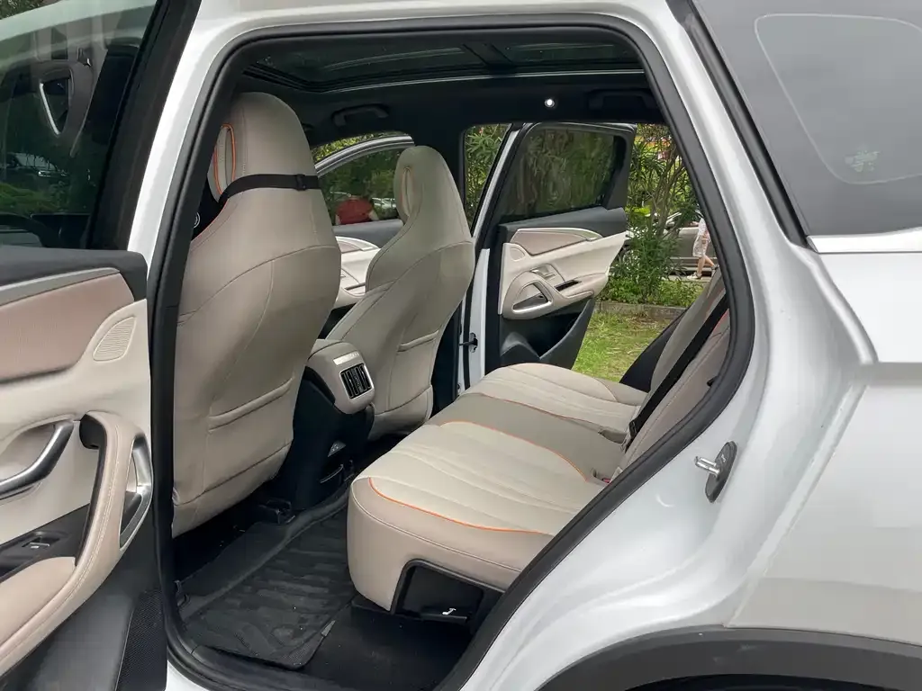 BYD Pro New Energy 2024 из CN, фото 5
