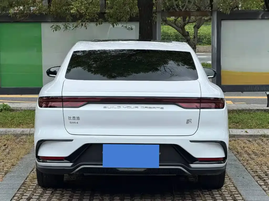BYD Han 2023 из CN, фото 7