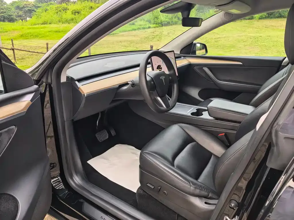 Tesla Model Y — фото 9