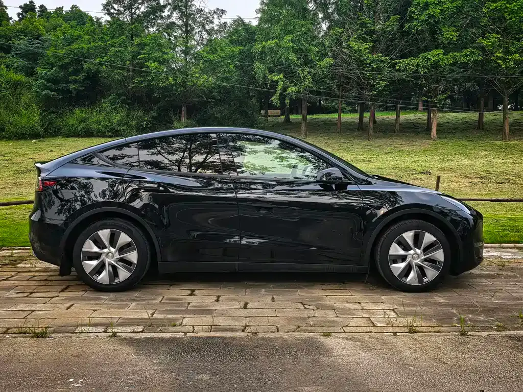 Tesla Model Y — фото 10