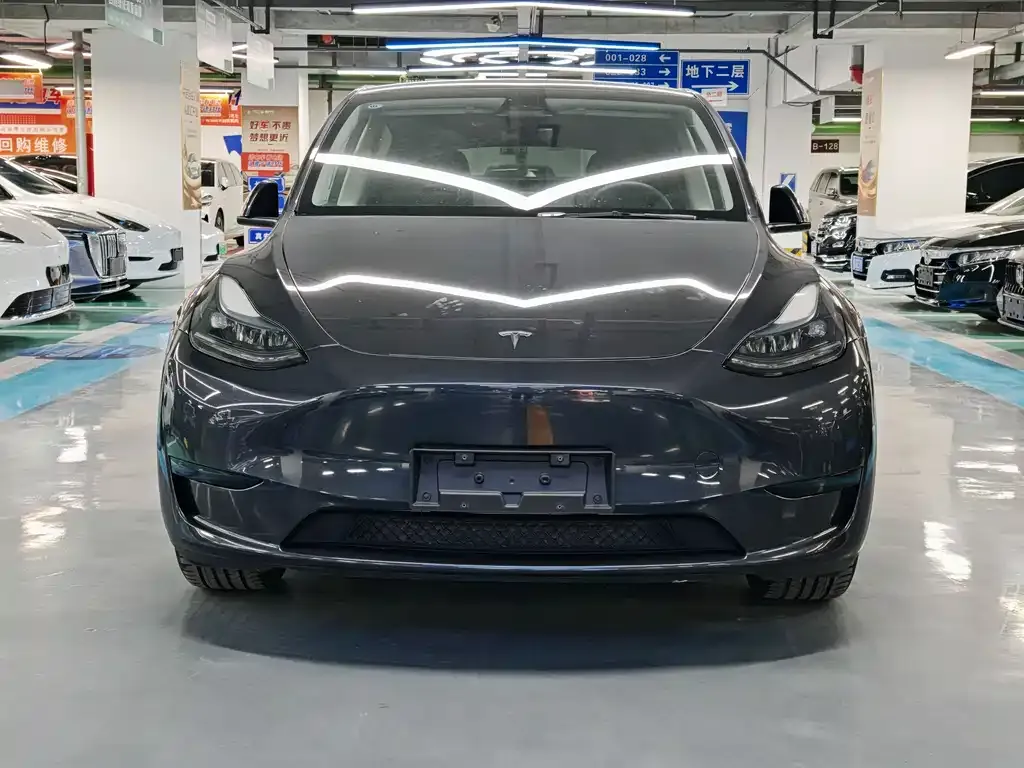 Tesla Model Y — фото 10