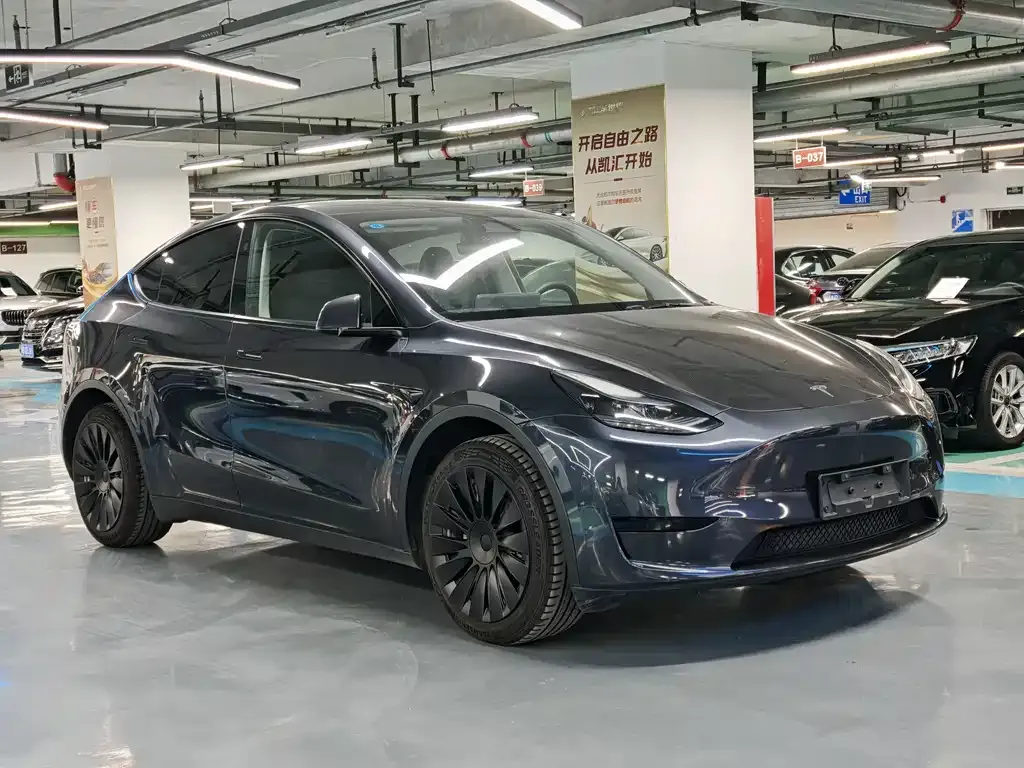 Tesla Model Y — фото 3