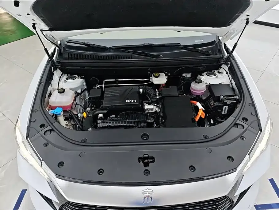 BYD Pro New Energy — фото 9