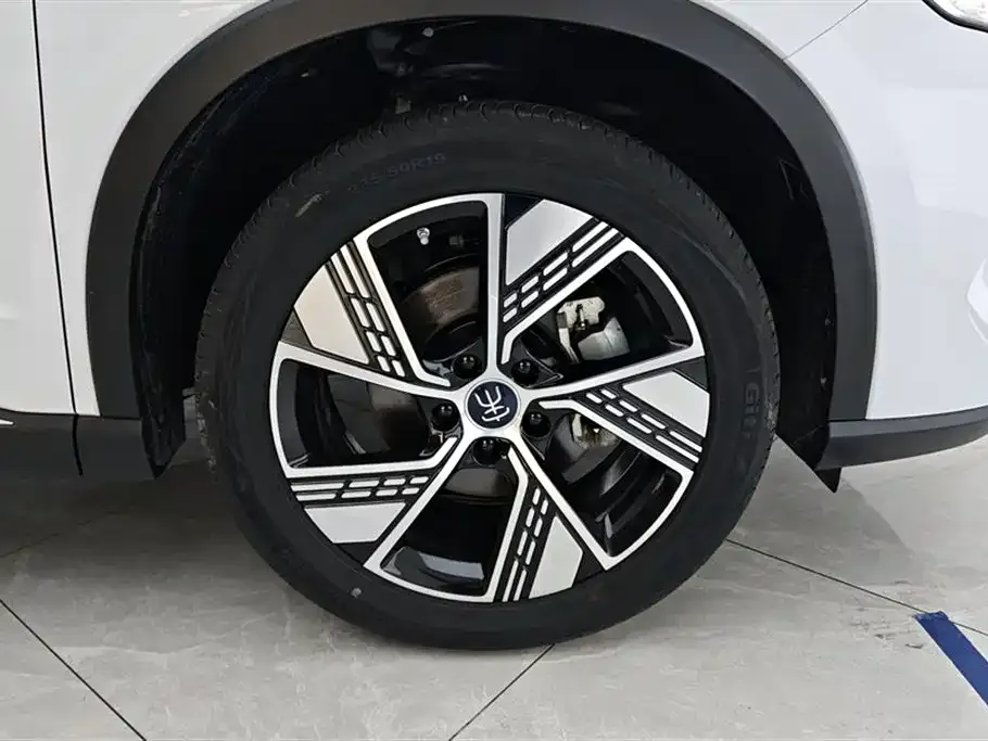 BYD Pro New Energy — фото 8